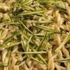 Catering primo riccioli limone zucchine pinoli 12