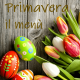 Copertina primavera